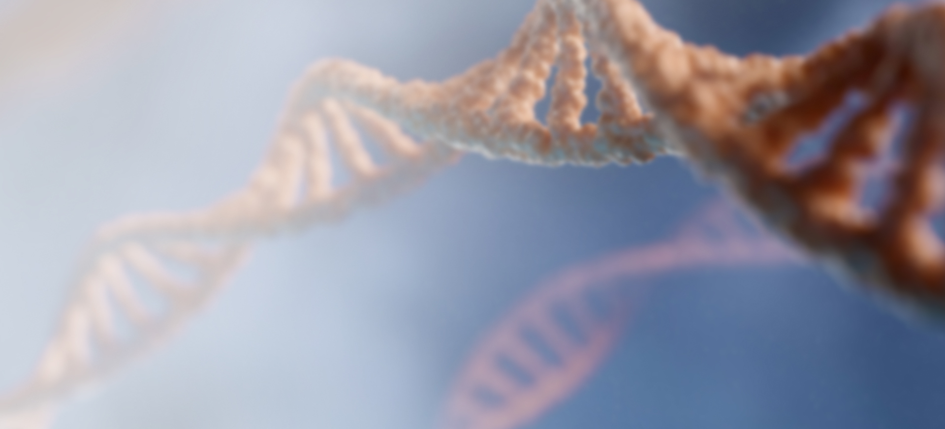 Driving Growth In Global Markets